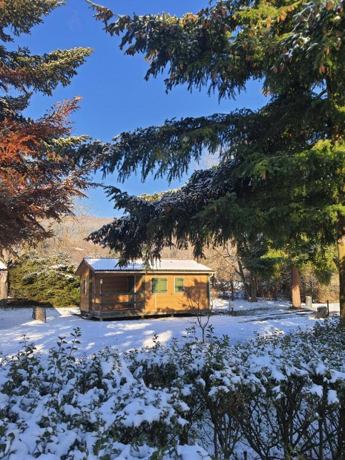 Chalet Beau Rivage Gunsbach Dış mekan fotoğraf